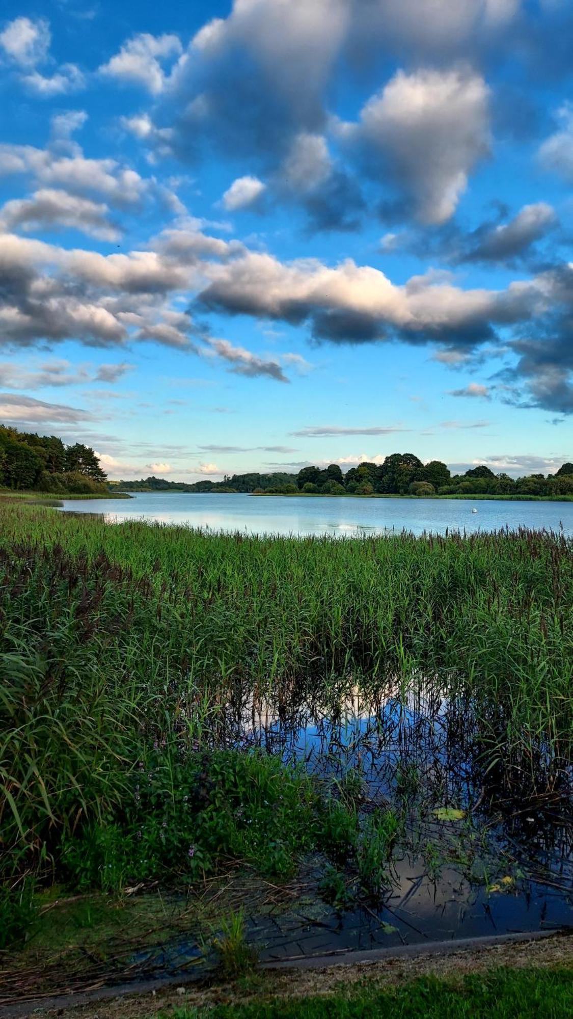 The Hillcrest, Luxury Accommodation In Castleblayney Town エクステリア 写真