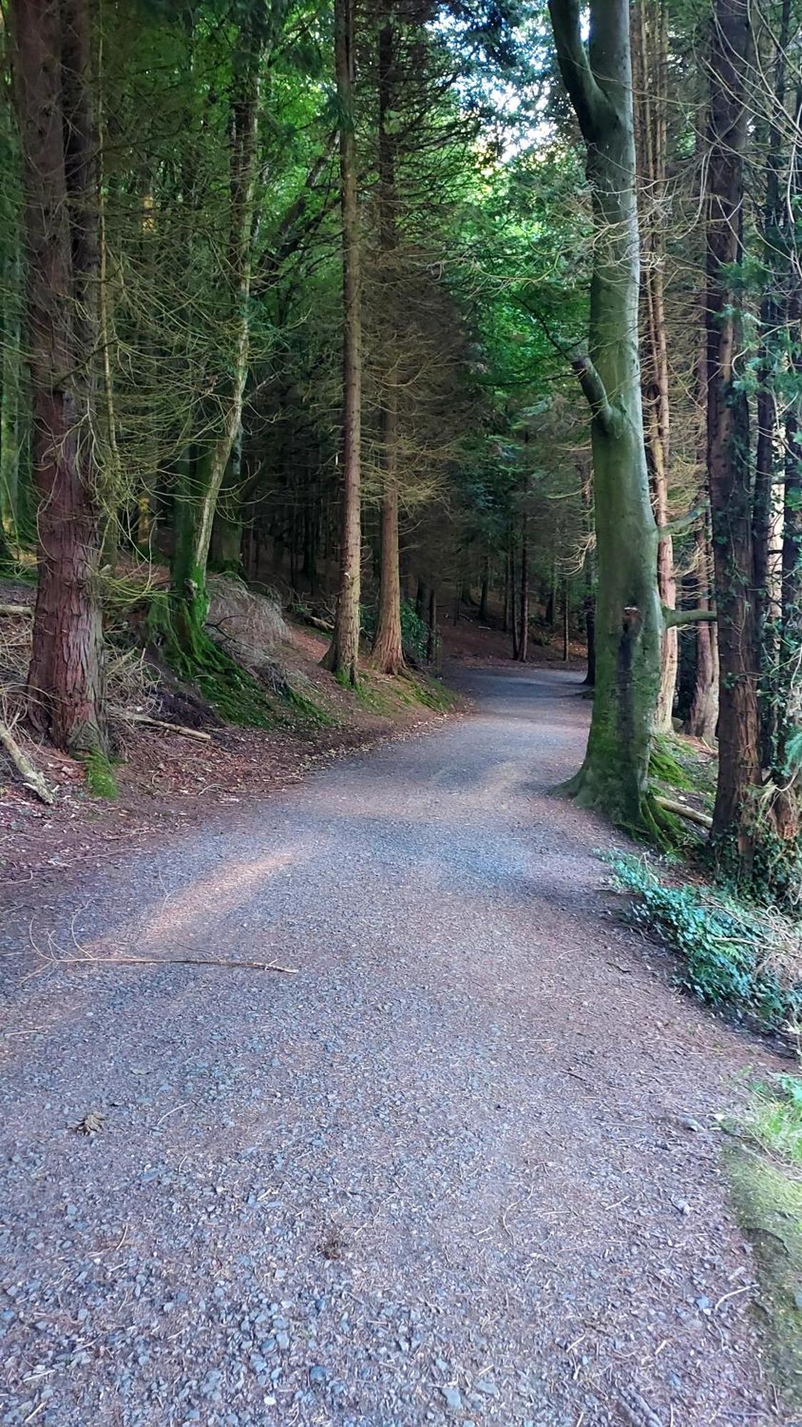 The Hillcrest, Luxury Accommodation In Castleblayney Town エクステリア 写真